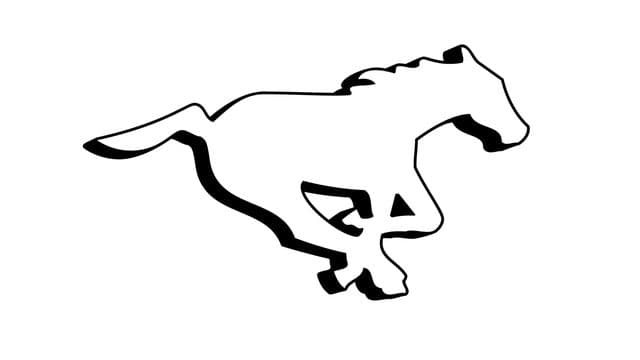 Photograph of Calgary Stampeders