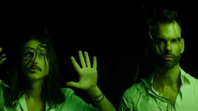 Photograph of Placebo