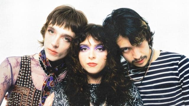 Photograph of The Velveteers