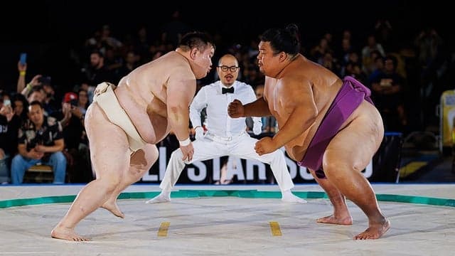 Photograph of All Star Sumo