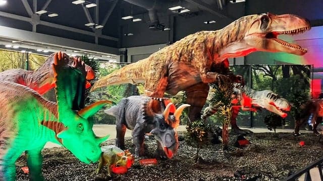 Photograph of Jurassic Quest