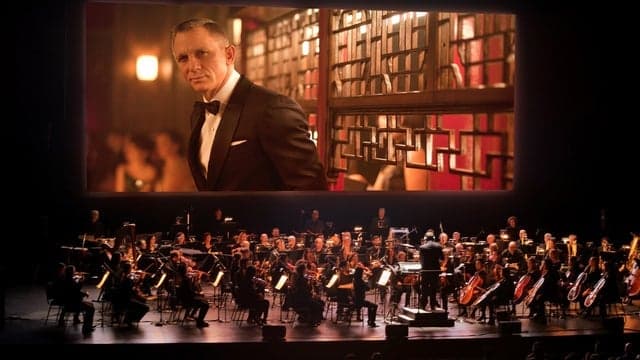 Photograph of Skyfall In Concert