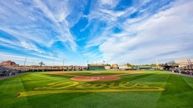 Photograph of Arizona State Sun Devils Baseball
