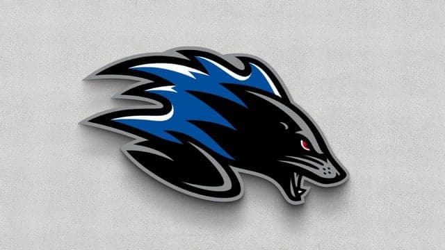 Photograph of Saint John Sea Dogs