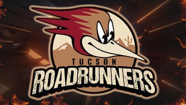 Photograph of Tucson Roadrunners