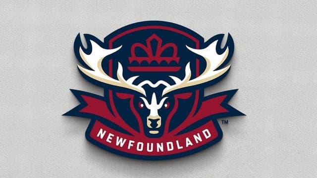Photograph of Newfoundland Regiment
