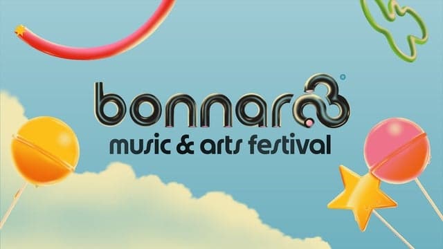 Photograph of Bonnaroo