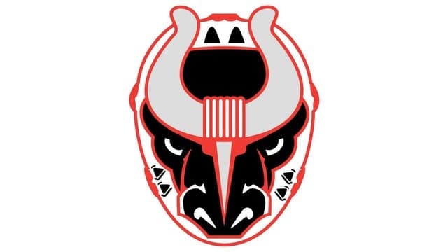 Photograph of Birmingham Bulls