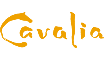 Photograph of Cavalia