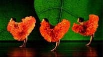 Photograph of Momix
