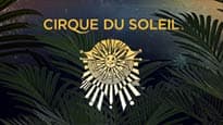 Photograph of Cirque du Soleil