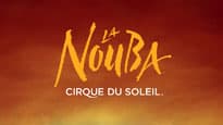 Photograph of Cirque du Soleil - La Nouba