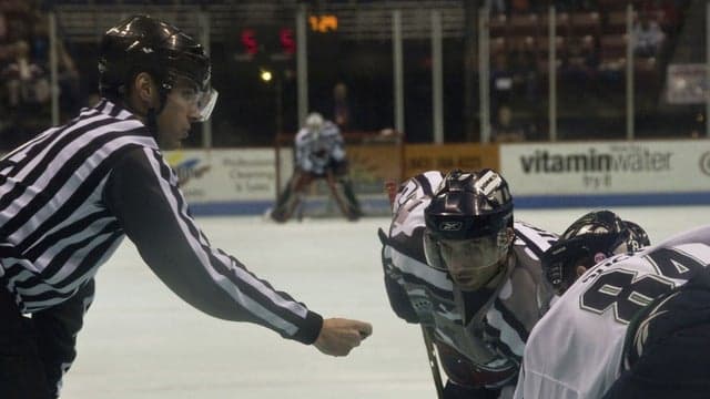 Photograph of Kalamazoo Wings