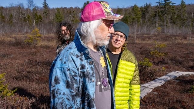 Photograph of Dinosaur Jr.