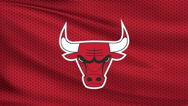Photograph of Chicago Bulls