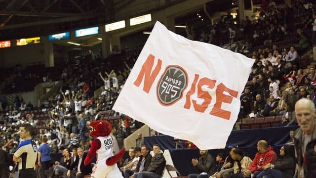 Photograph of Raptors 905