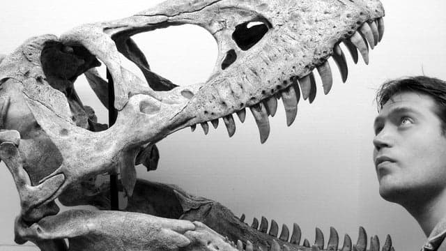 Photograph of National Geographic Live!