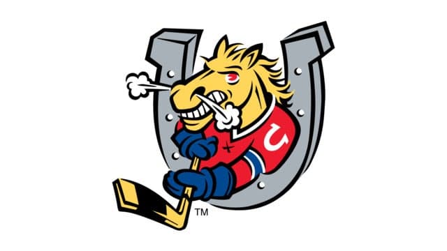 Photograph of Barrie Colts