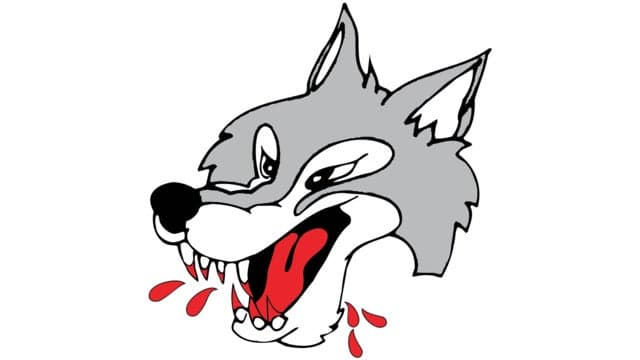 Photograph of Sudbury Wolves