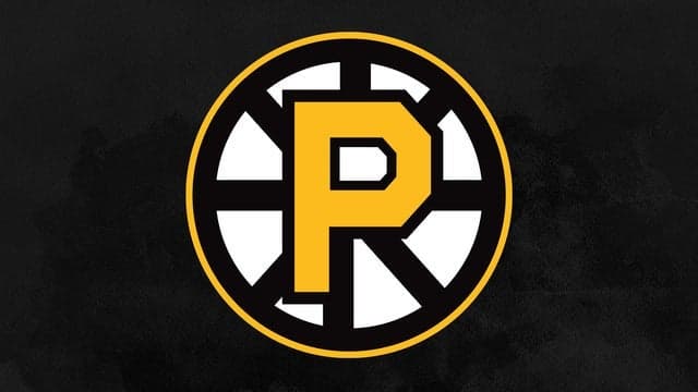 Photograph of Providence Bruins