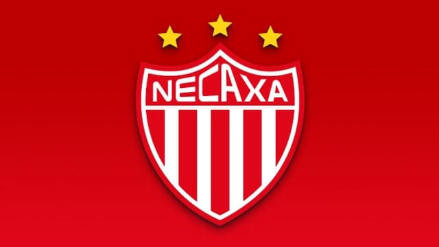Photograph of Club Necaxa