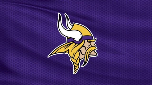 Photograph of Minnesota Vikings