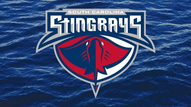 Photograph of South Carolina Stingrays