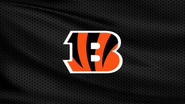 Photograph of Cincinnati Bengals