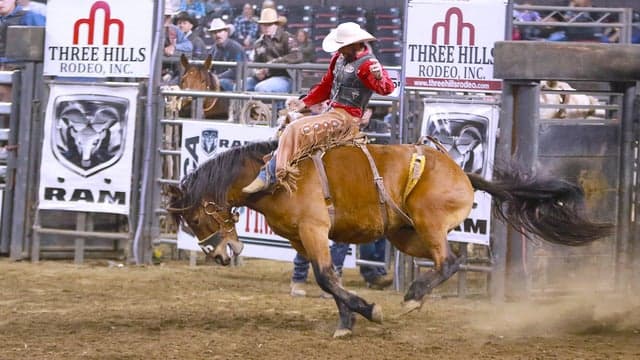 Photograph of North American Championship Rodeo
