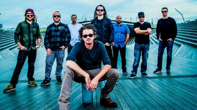 Photograph of Soja
