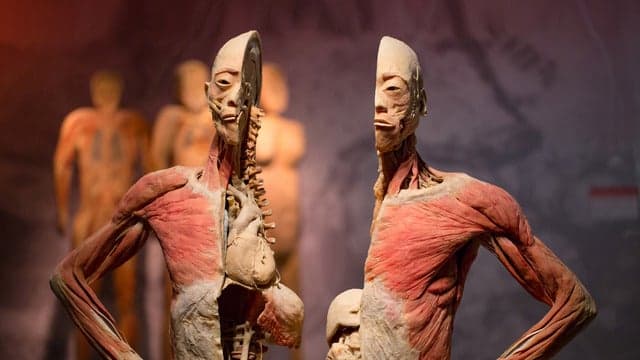 Photograph of Real Bodies
